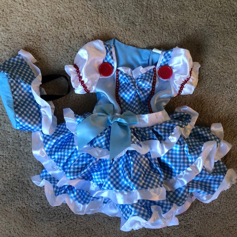 Girls Dorothy Costume with basket. Size 3-4T EUC